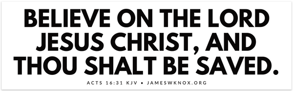 Acts 16:31 Bumper Sticker (14x3)