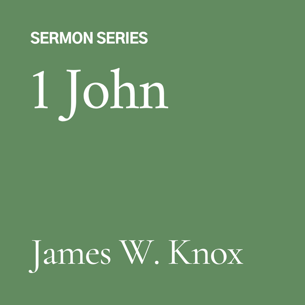 1 John (CD)