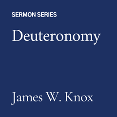 Deuteronomy (CD)