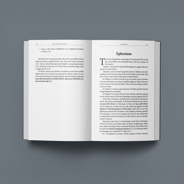 Understanding the New Testament