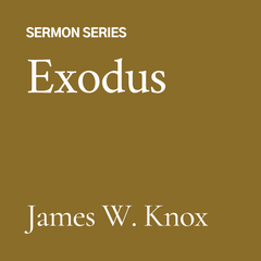 Exodus (3 CD Set)