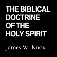Biblical Doctrine of The Holy Spirit (CD)