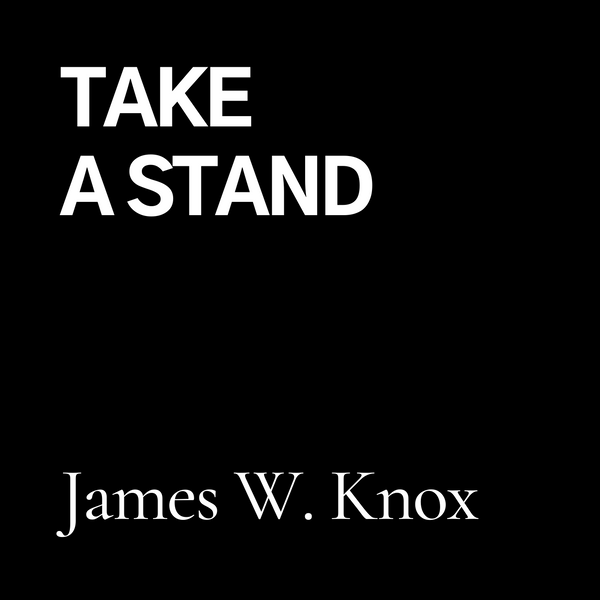 Take A Stand (CD)