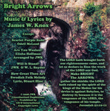 Bright Arrows (Music CD)
