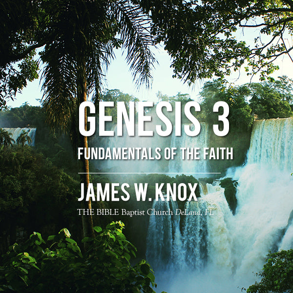 Genesis 3 - 2017 (MP3 Downloads)